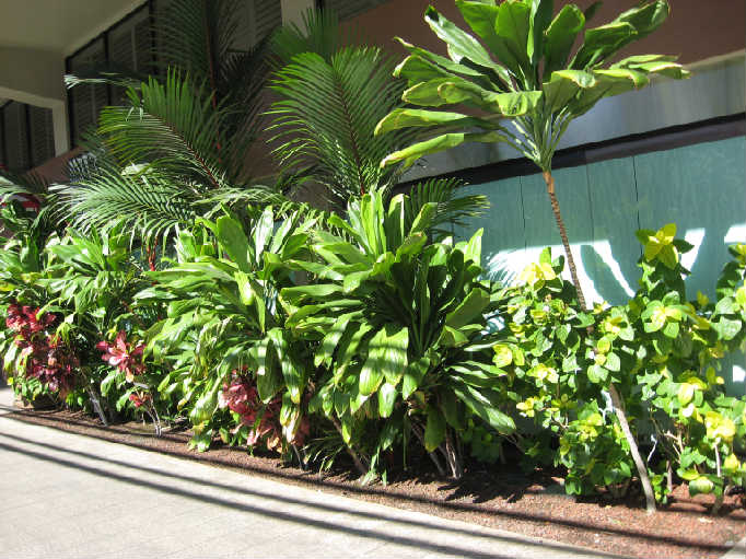 Picture Gallery Oahu